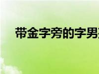 带金字旁的字男孩取名 带金字旁的名字 