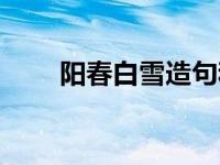 阳春白雪造句和意思 阳春白雪造句 