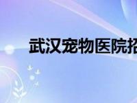 武汉宠物医院招聘信息 武汉宠物医院 