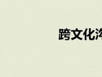 跨文化沟通案例 跨文化 