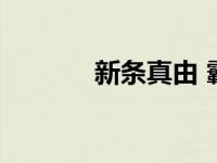 新条真由 霸王爱人 新条真由 