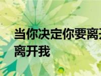 当你决定你要离开我是什么歌 当你决定你要离开我 