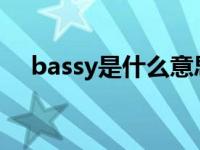 bassy是什么意思 bass是什么意思中文 