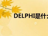 DELPHI是什么电喷 delphi是什么 