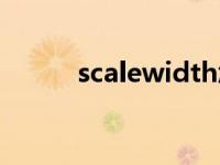 scalewidth怎么读 scalewidth 