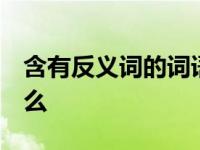 含有反义词的词语 四字词语 要的反义词是什么 