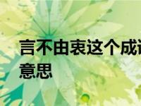 言不由衷这个成语是什么意思 言不由衷什么意思 