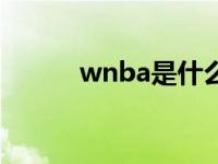 wnba是什么球队 wnba是什么 