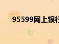 95599网上银行登录 95599网上银行 