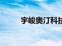 宇峻奥汀科技股份有限公司 宇峻 