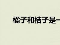 橘子和桔子是一种果子吗 橘子和桔子 