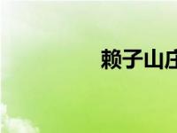 赖子山庄官网 癞子山庄 