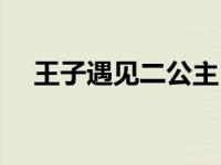 王子遇见二公主 王子看见二公主演员表 