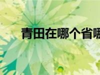 青田在哪个省哪个市 青田属于哪个市 