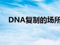 DNA复制的场所是什么 dna复制的场所 