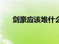 剑豪应该堆什么属性 剑豪用什么武器 