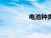 电池种类分类 电池种类 