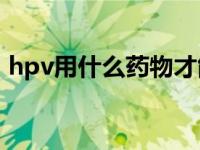 hpv用什么药物才能彻底清除病毒 清除病毒 