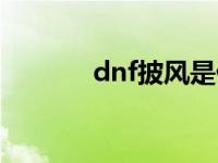 dnf披风是什么部位 dnf披风 