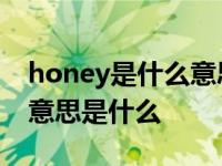 honey是什么意思中文翻译成为 honey汉语意思是什么 