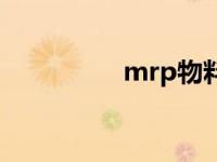 mrp物料需求计划 mrp 