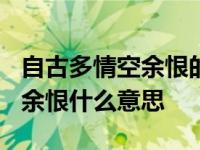 自古多情空余恨的下一句是什么? 自古多情空余恨什么意思 