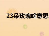 23朵玫瑰啥意思 23朵玫瑰代表什么意思 