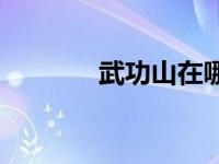 武功山在哪个省哪个市 武功 