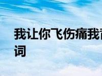 我让你飞伤痛我背啥歌 我让你飞伤痛我背歌词 