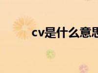 cv是什么意思数学 cv是什么意思 