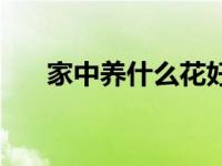 家中养什么花好风水 家中养什么花好 