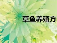 草鱼养殖方法和技术 草鱼养殖 