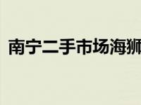 南宁二手市场海狮王金杯9座 南宁二手市场 