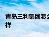 青岛三利集团怎么样2023 青岛三利集团怎么样 