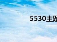 5530主题下载 5310主题 