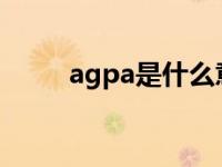 agpa是什么意思 agp是什么意思 