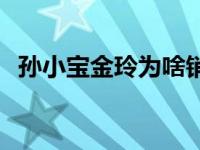 孙小宝金玲为啥销声匿迹 孙小宝金玲车祸 