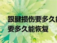 跟腱损伤要多久能恢复运骨科医生 跟腱损伤要多久能恢复 