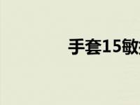 手套15敏捷图纸 手套15敏 