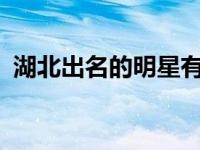 湖北出名的明星有多少? 湖北明星有哪些人 