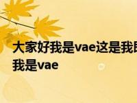 大家好我是vae这是我即将发表的首张独创专辑歌词 大家好我是vae 