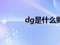 dg是什么购物平台 dg是什么 