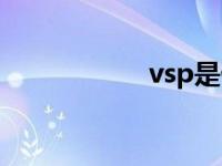 vsp是什么意思 vsp 