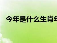 今年是什么生肖年呀2024 今年是什么生肖年 