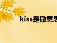 kiss是撒意思 小kiss是什么意思 