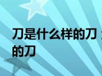 刀是什么样的刀 金丝大环刀歌名 刀是什么样的刀 