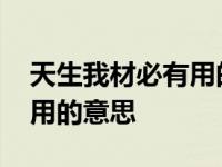 天生我材必有用的意思是什么 天生我材必有用的意思 