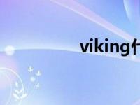 viking什么意思 viking 