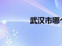 武汉市哪个省? 武汉哪个省 