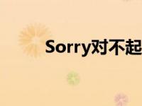 Sorry对不起的意思 sorry对不起 